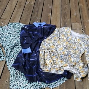 Long sleeve tunics/dresses